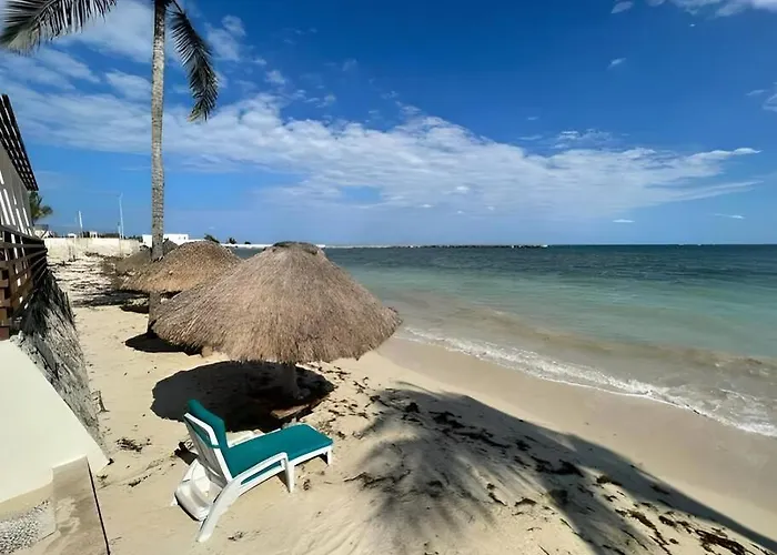 Palma Real By Andiani Travel Puerto Morelos